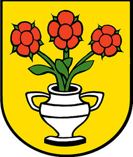 Fluri