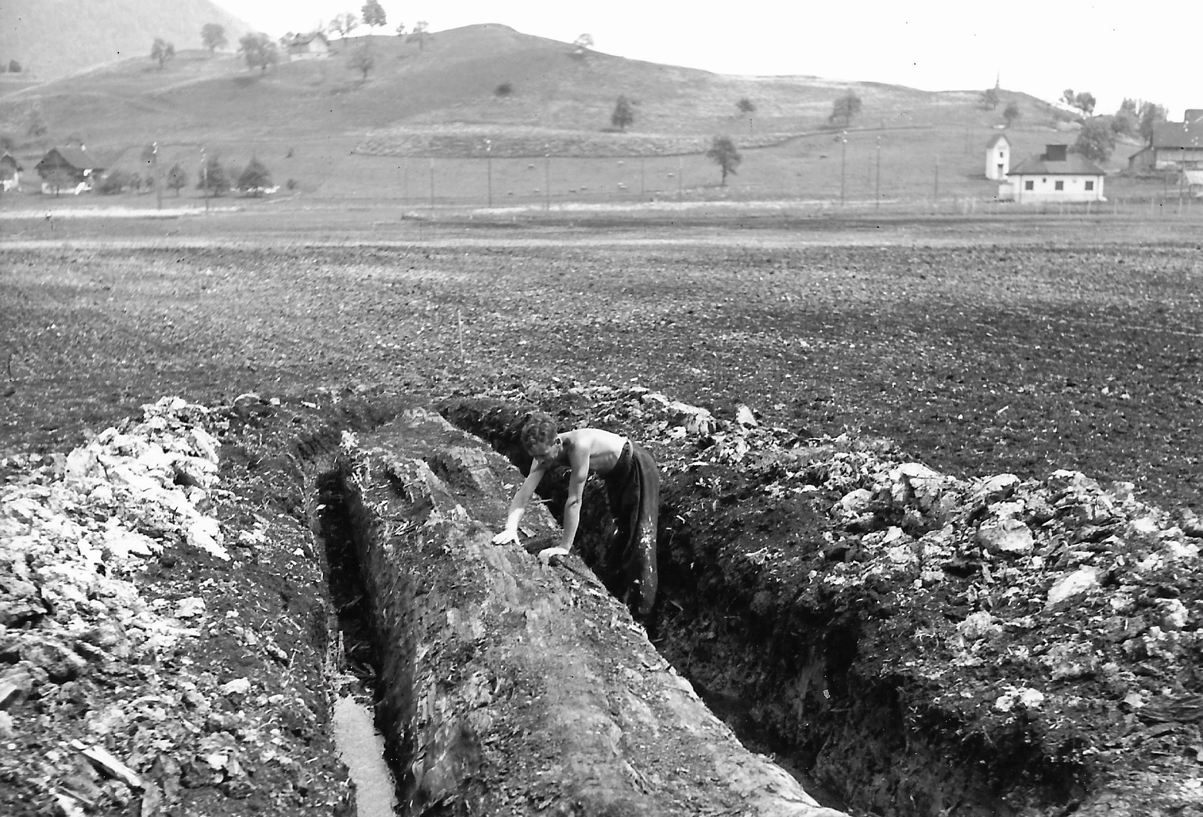 Weisstanne, die vor 5'000 Jahren am Fundort liegen blieb