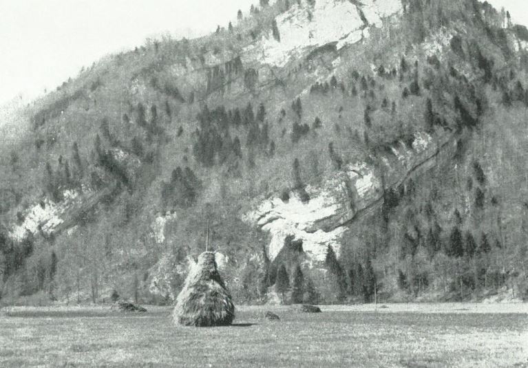 Streuland auf dem Drachenried vor der Melioration (Bildnachweis: Schlussbericht über die Kosten der Melioration Drachenried der Flurgenossenschaft)