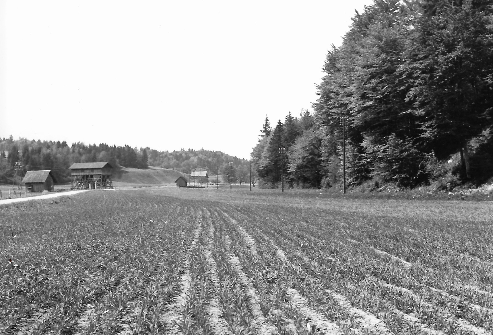 Jeder Winkel des Drachenried wurde während des Krieges genutzt. Im Hintergrund links ist die Entladestation der Gips-Union