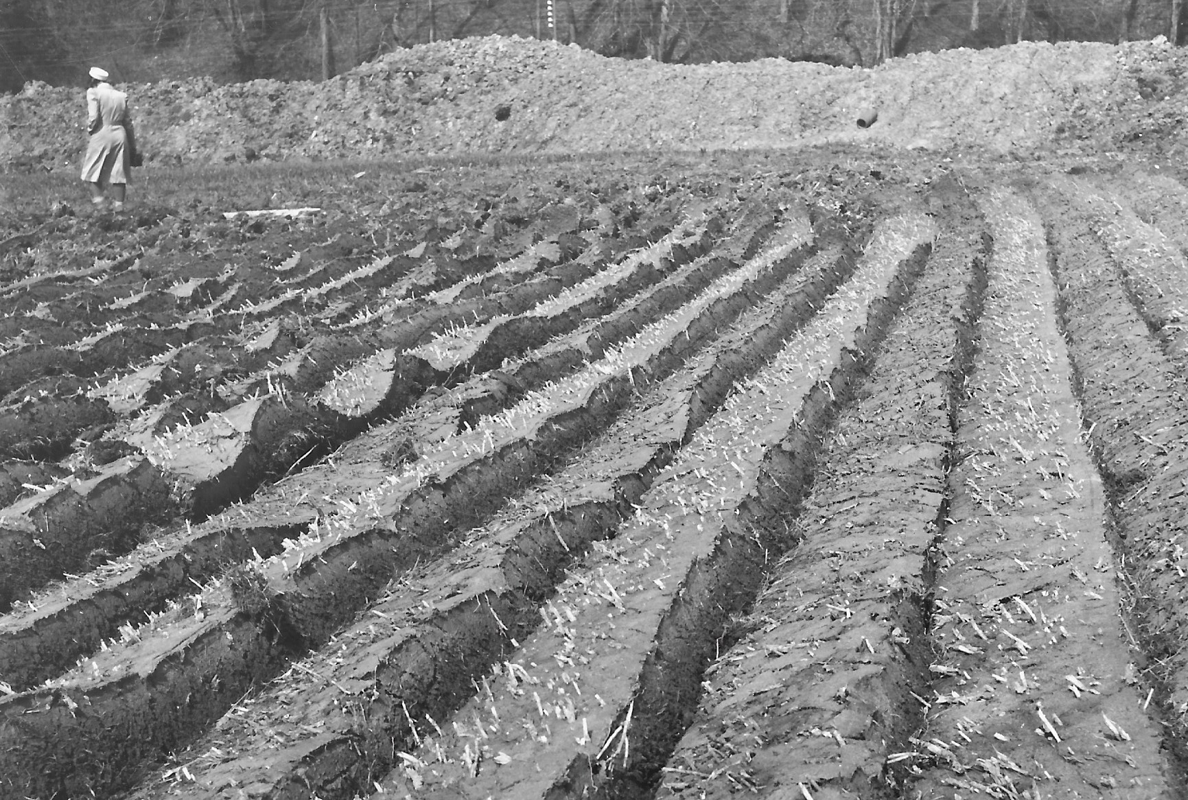 Der frisch umgebrochene Sumpfboden