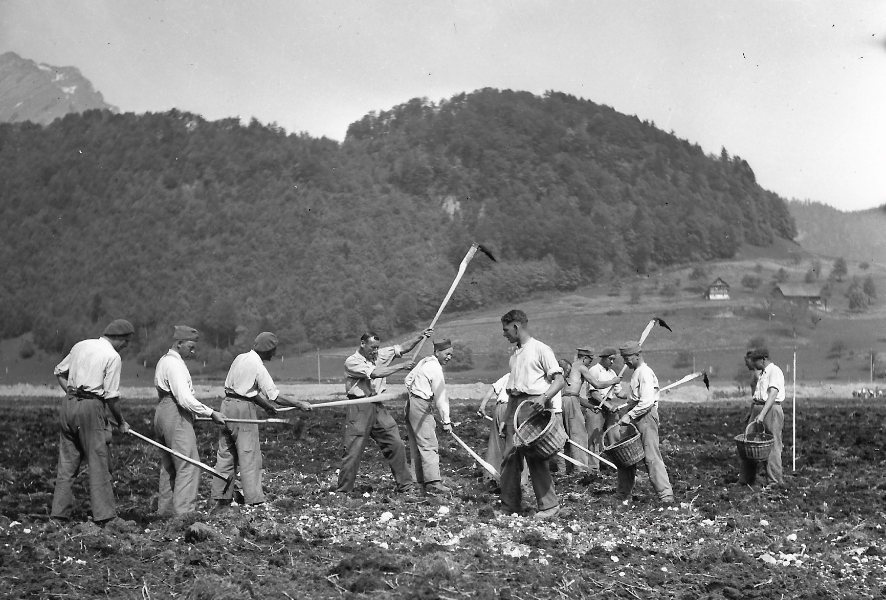 Polnische Internierte beim Kartoffelsetzen
