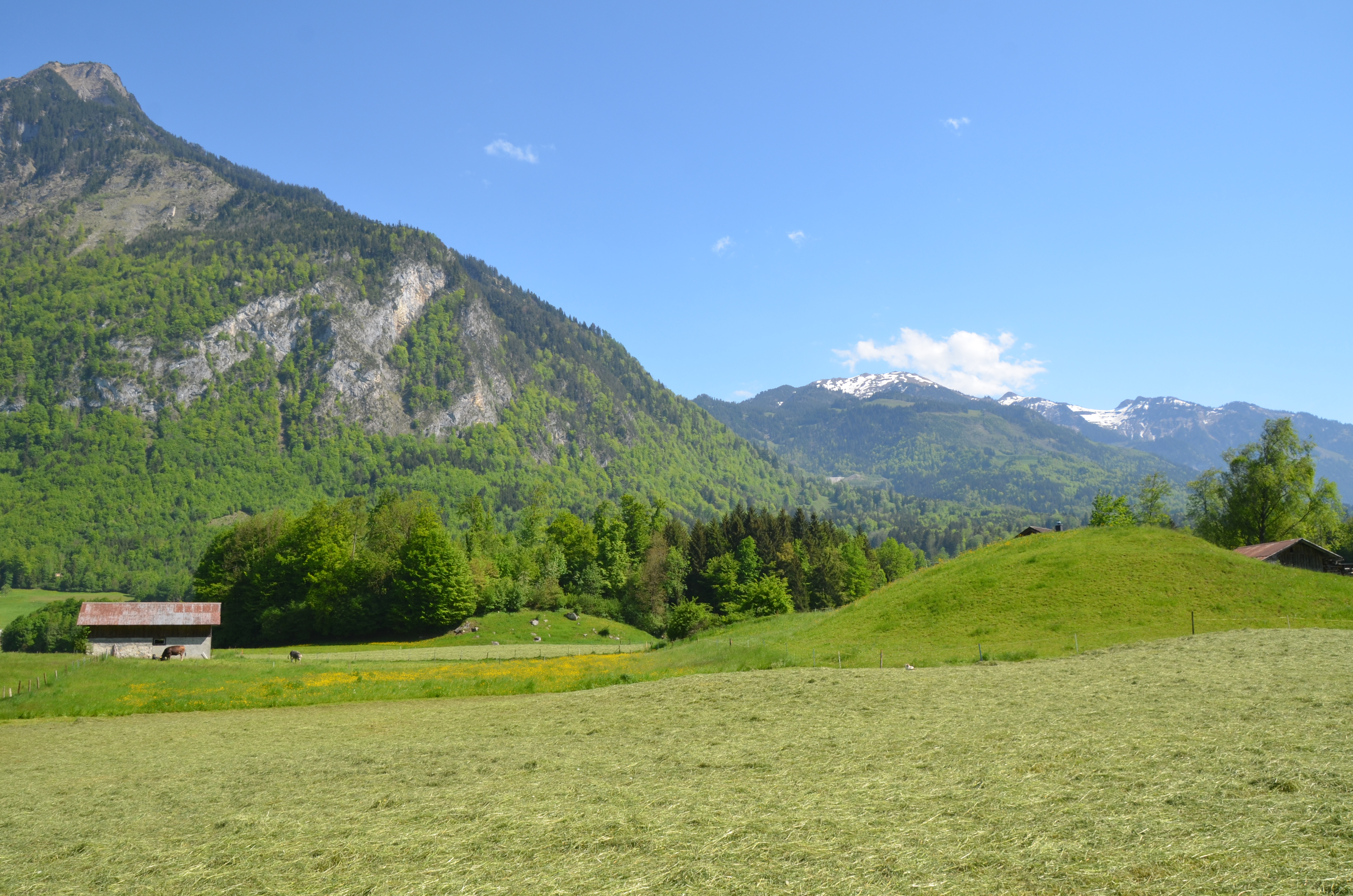 Tomahügel im südlichen Drachenried, kurz vor St. Jakob