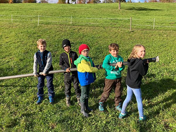 Schule auf dem Bauernhof - Unterstufe