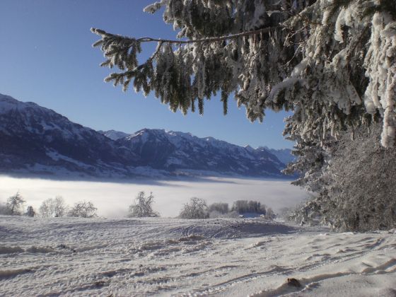 Winterlandschaft