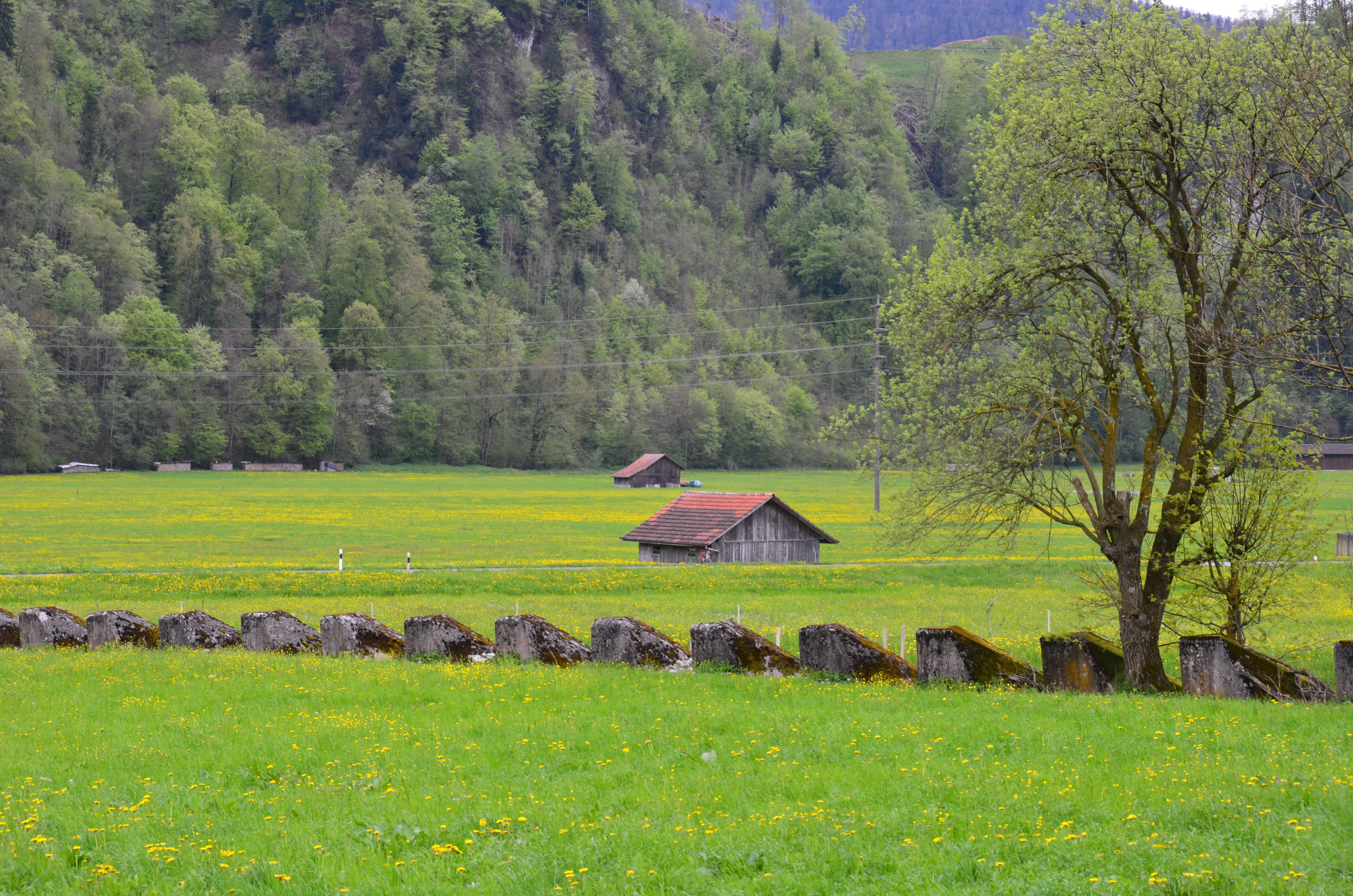 Panzersperre Drachenried