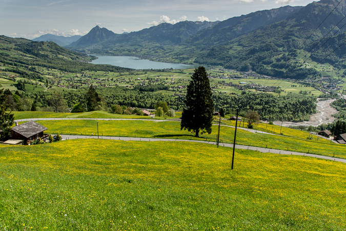 Giswil