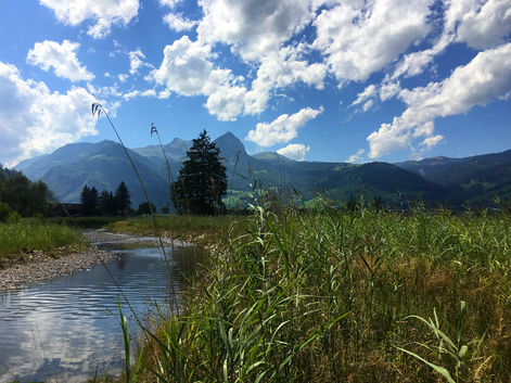 Giswilerstock