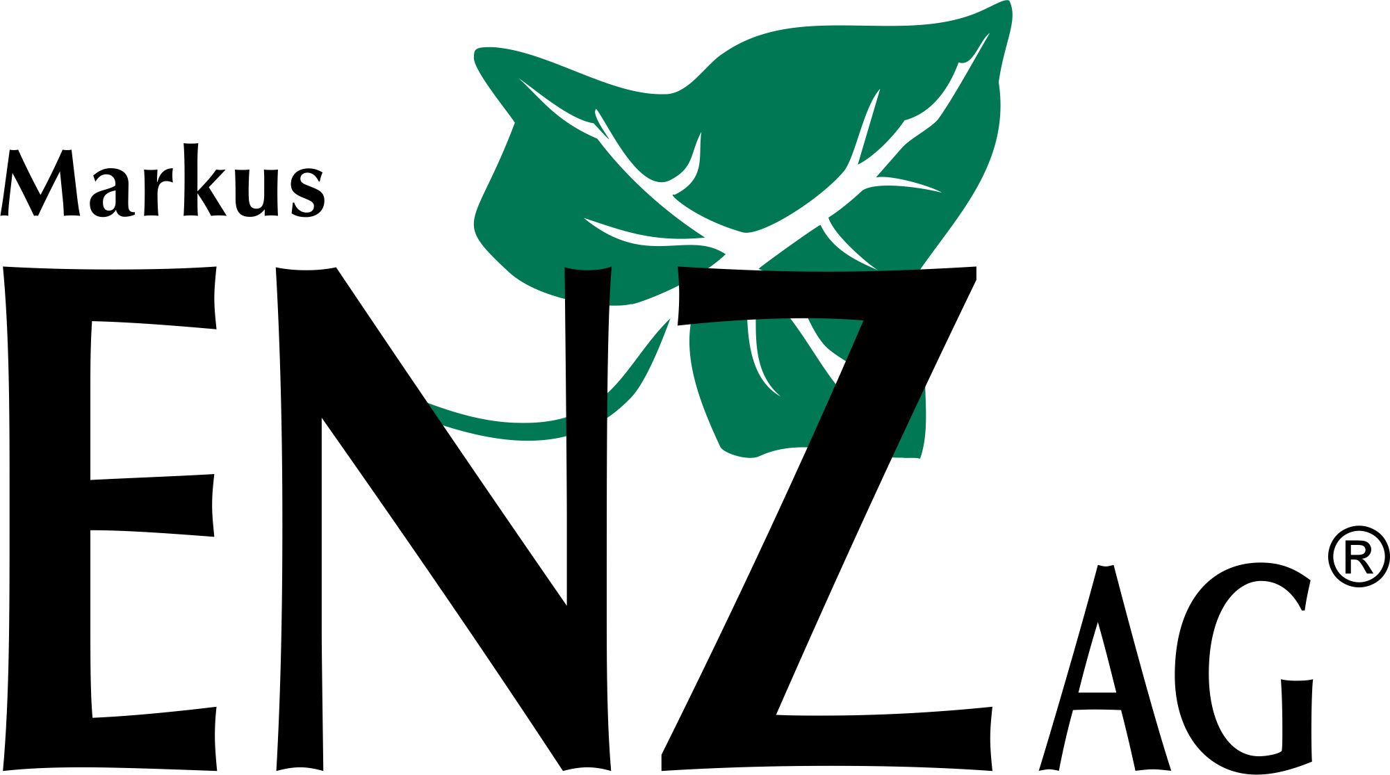 Markus Enz AG Logo
