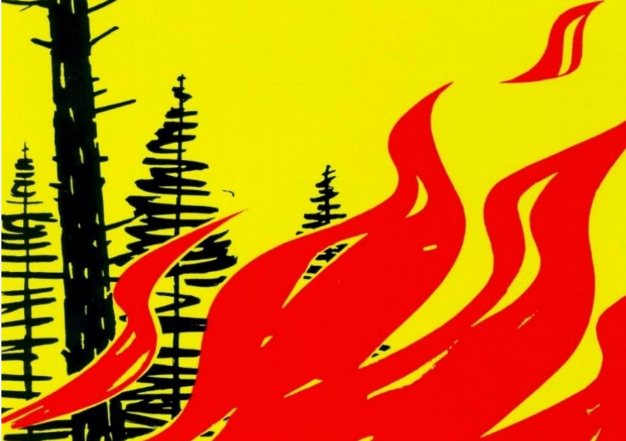 Waldbrandgefahr Stufe 4 - Grosse Gefahr