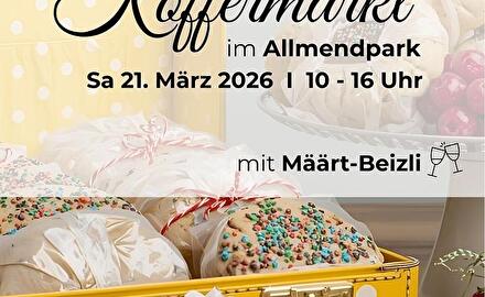 Koffermarkt 108153 (3).jpg