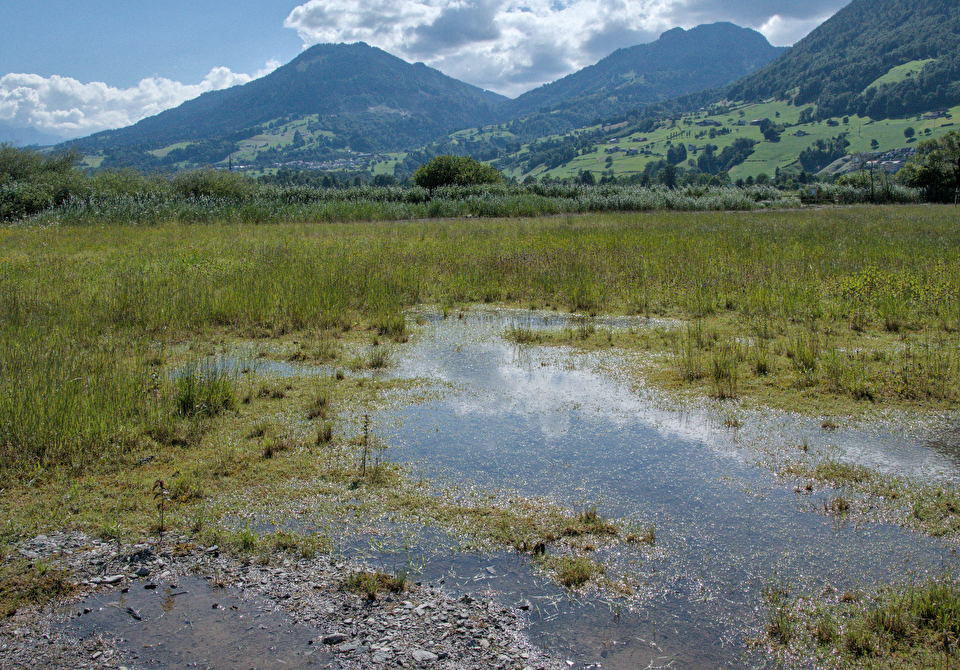 Wasserbauprojekt ASA+