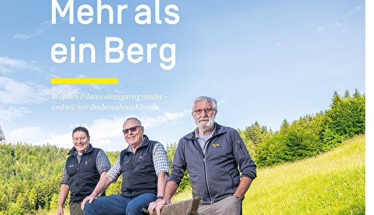 Hergiswiler
