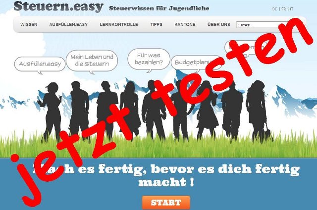 steuern.easy