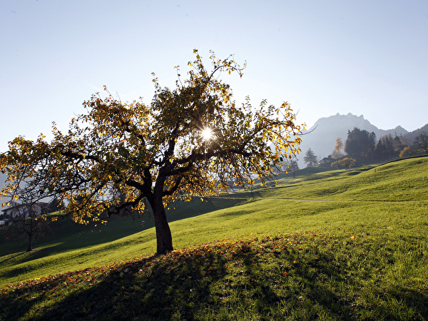 Hergiswil im Herbst