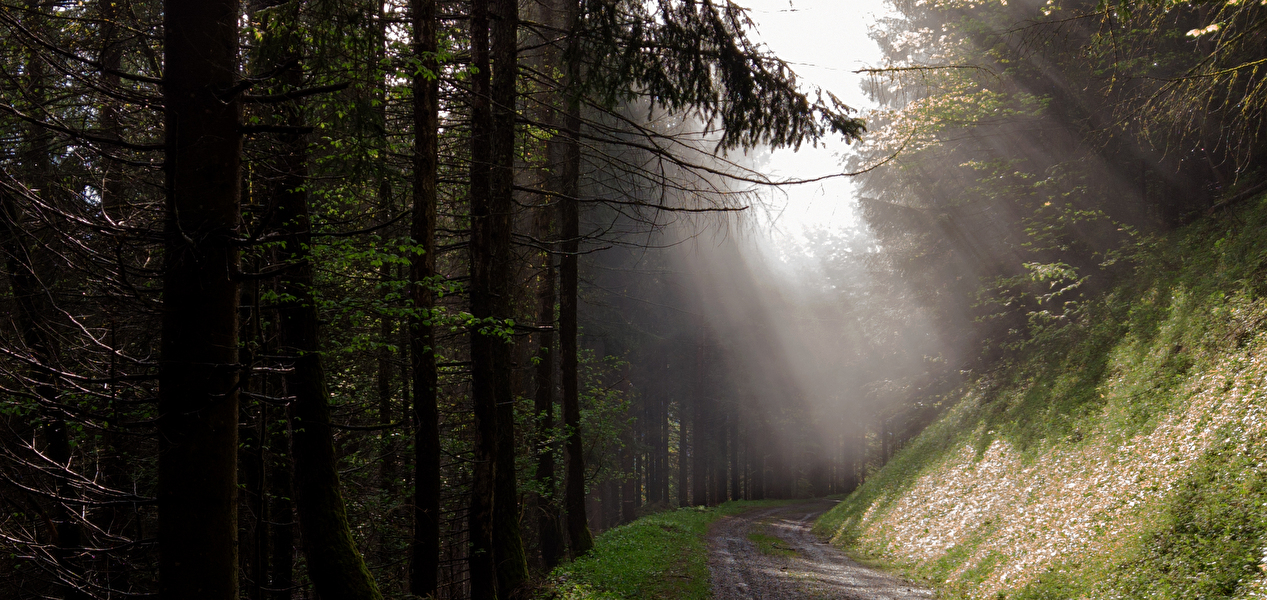 Natur