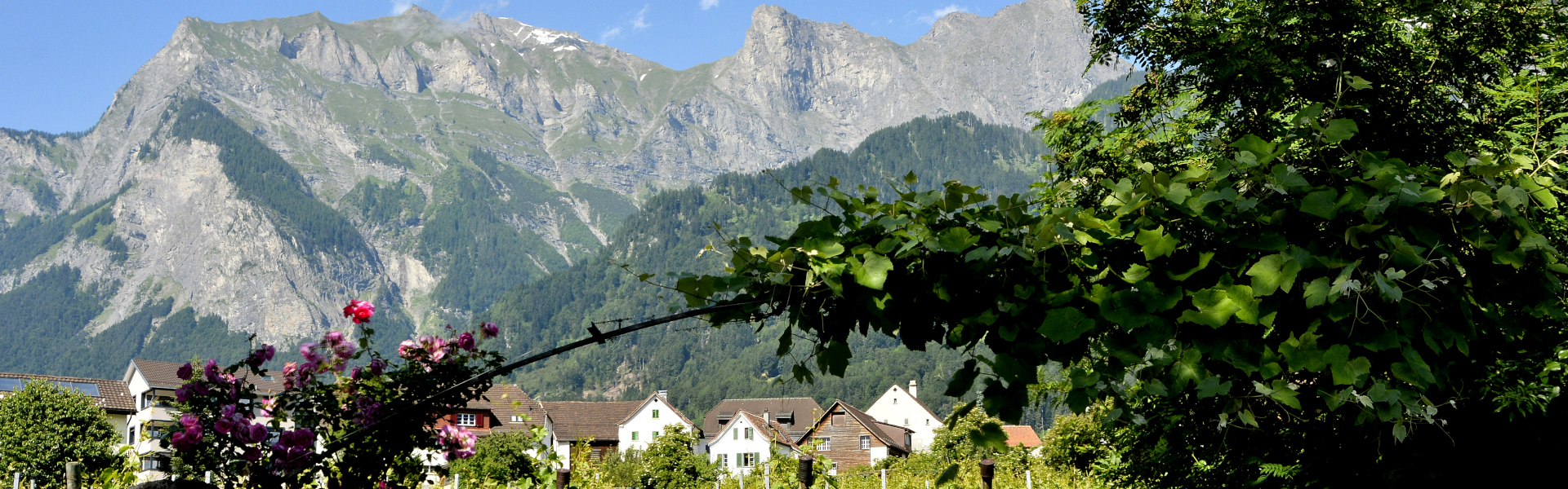 Aussicht