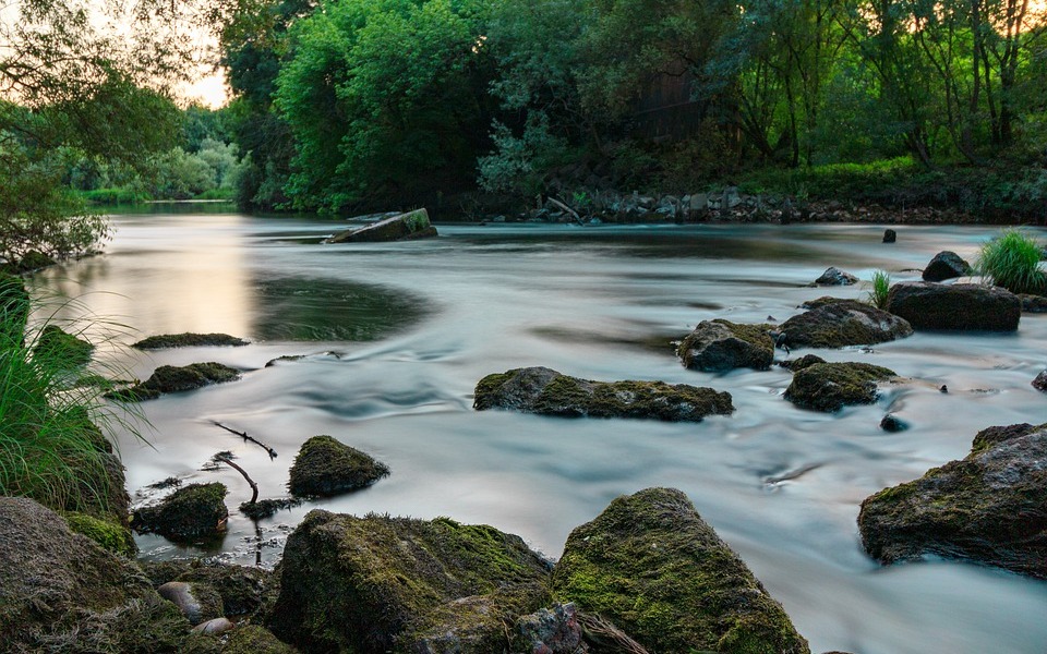 Wasser