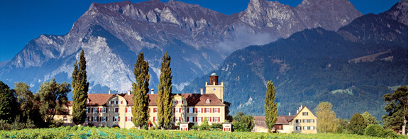 Schloss Salenegg mit Reben