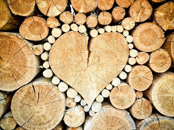 Holz