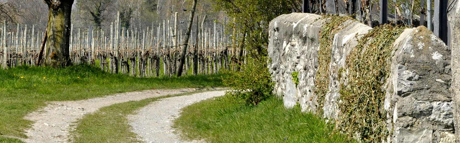 Strasse