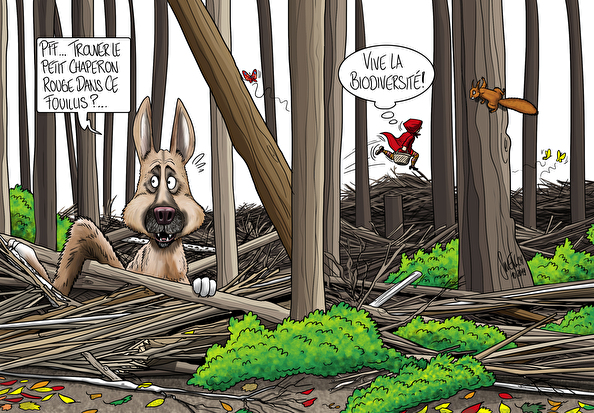 Biodiversité