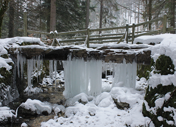 Vallorbe nature hiver