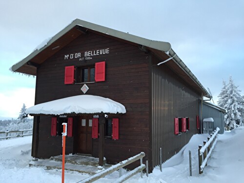 Cabane de la gym