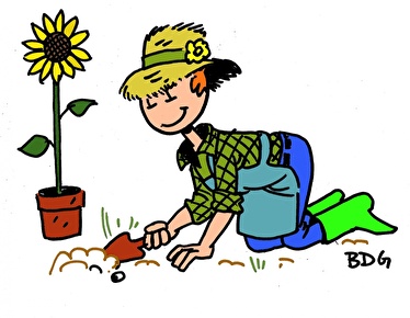 jardin potager