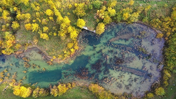 Etang pêchable