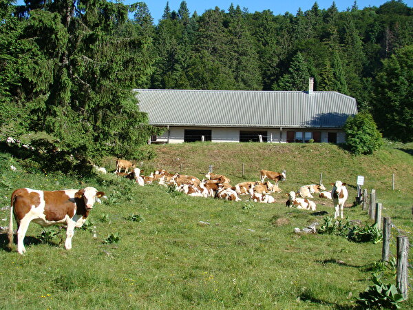 Vallorbe nature été