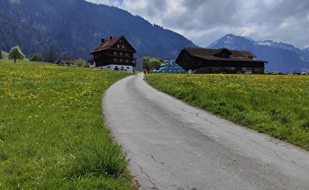 Zubenstrasse