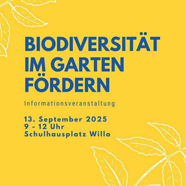 Informationsveranstaltung