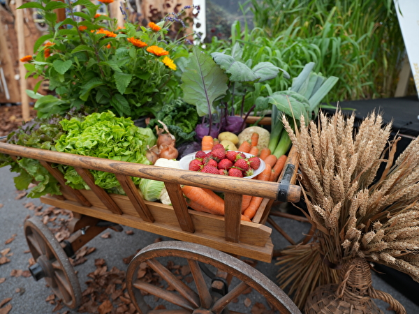 Landwirtschaft