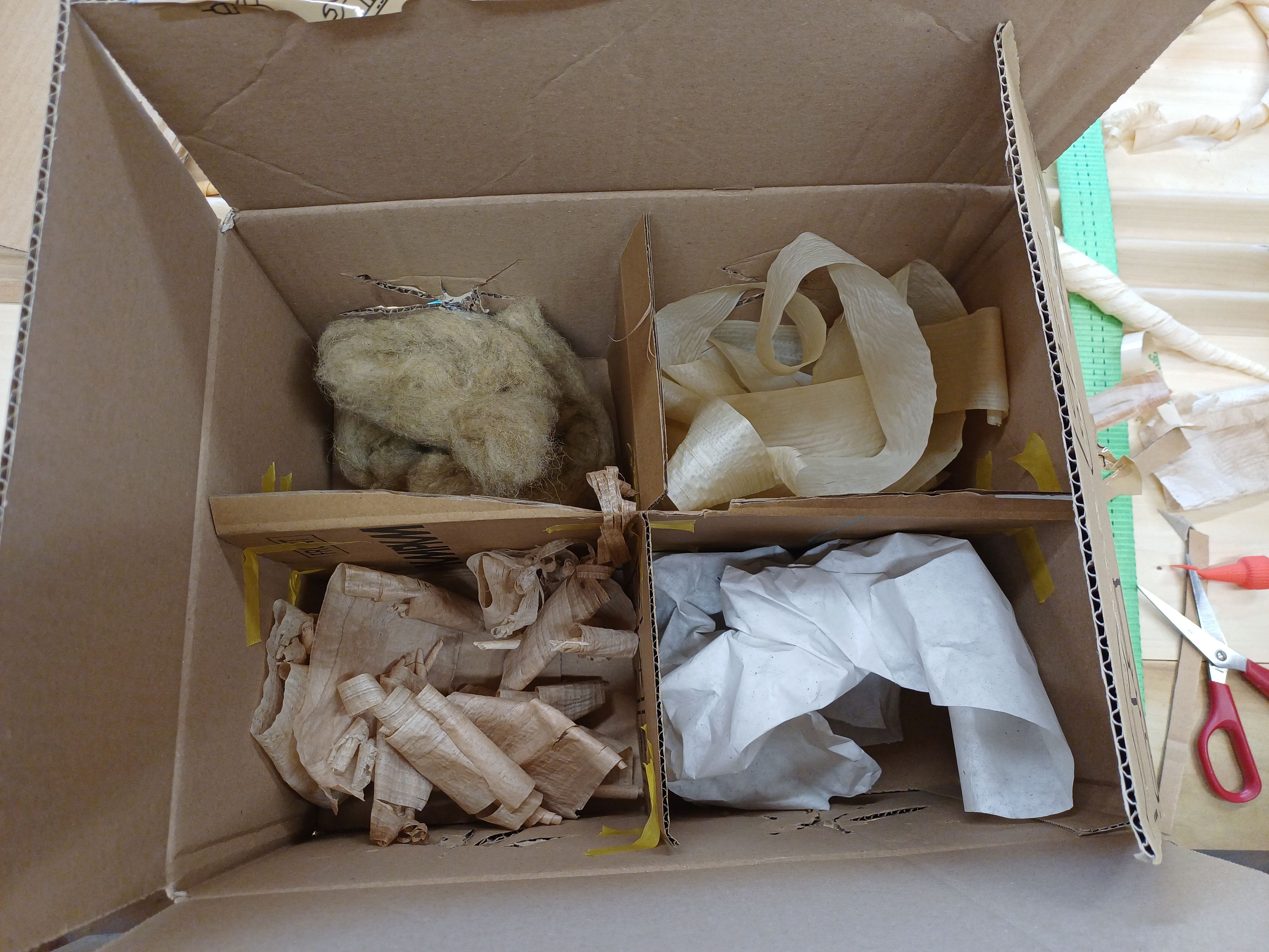 Kunst macht Schule