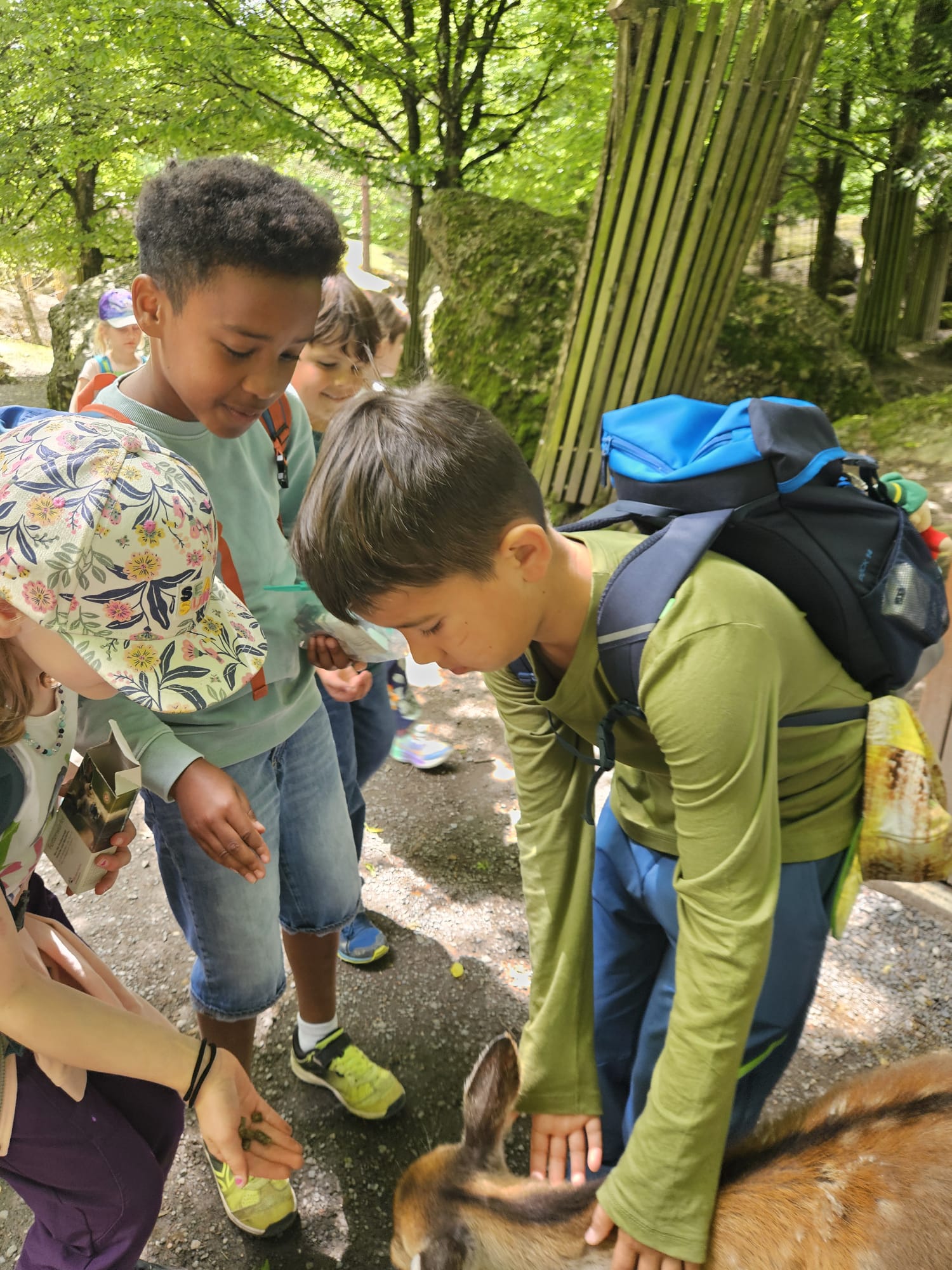 Schulreise in den Tierpark Goldau