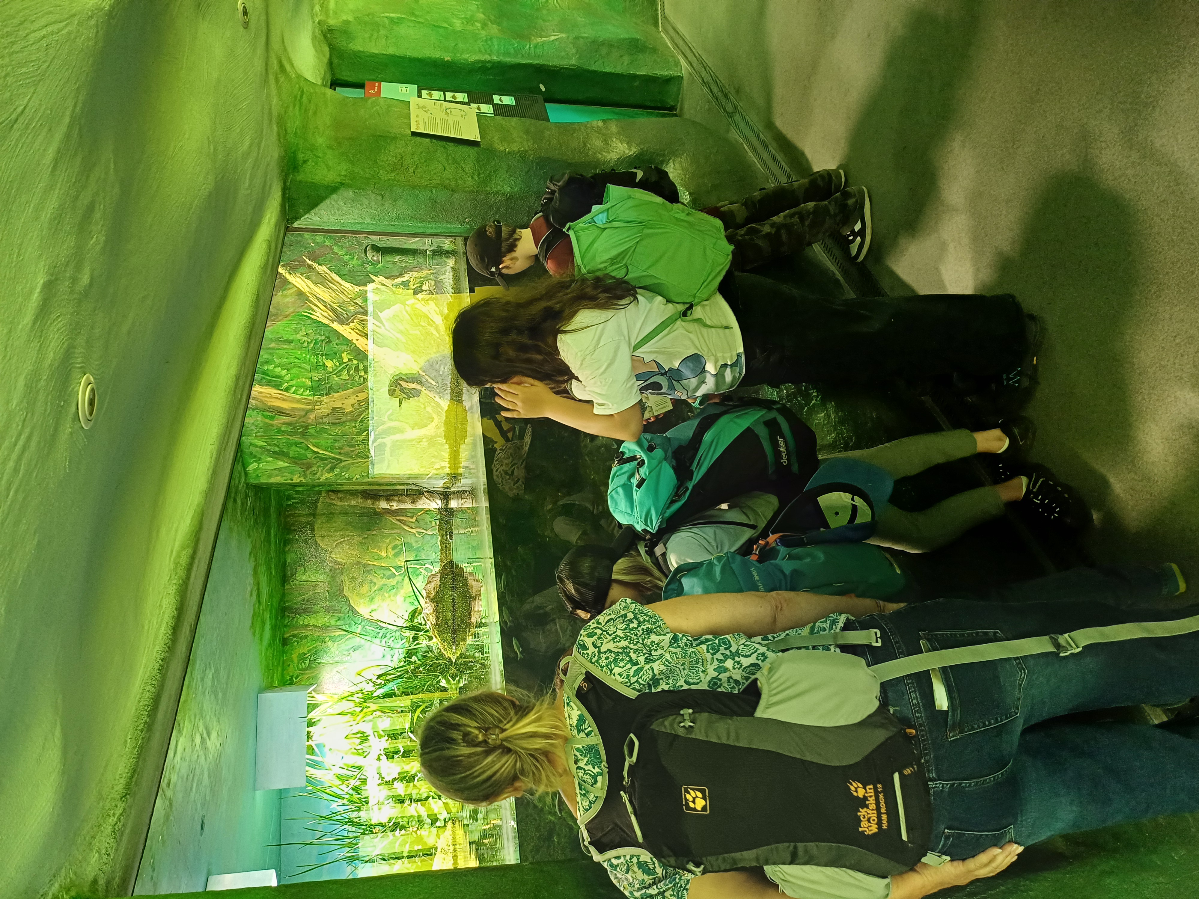 Schulreise in den Tierpark Goldau
