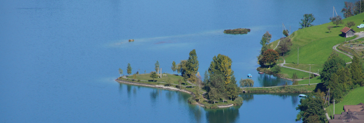 Inseli im Lungernsee