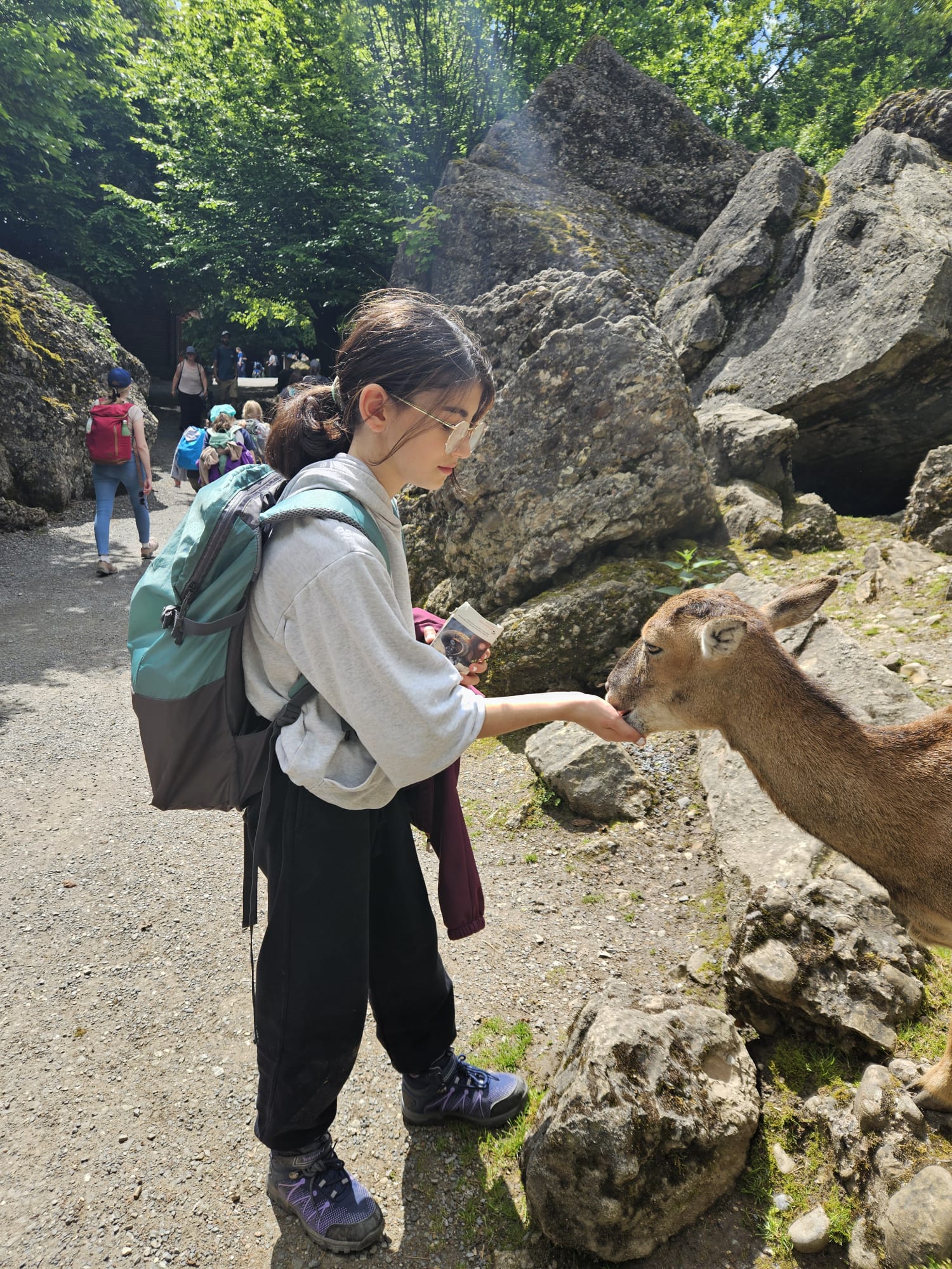 Schulreise in den Tierpark Goldau