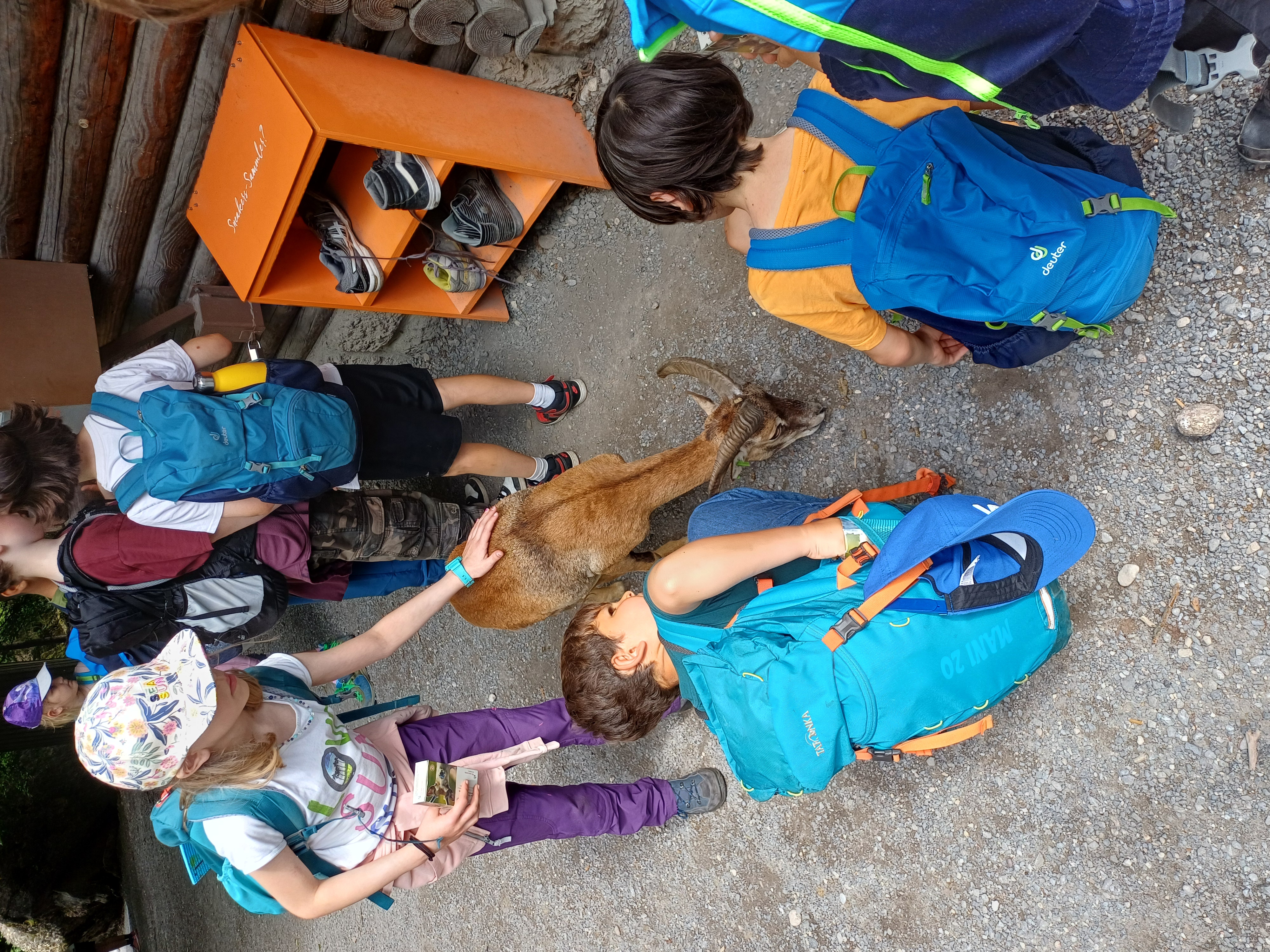 Schulreise in den Tierpark Goldau