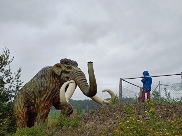 Ganz schön gross, so ein Mammut!