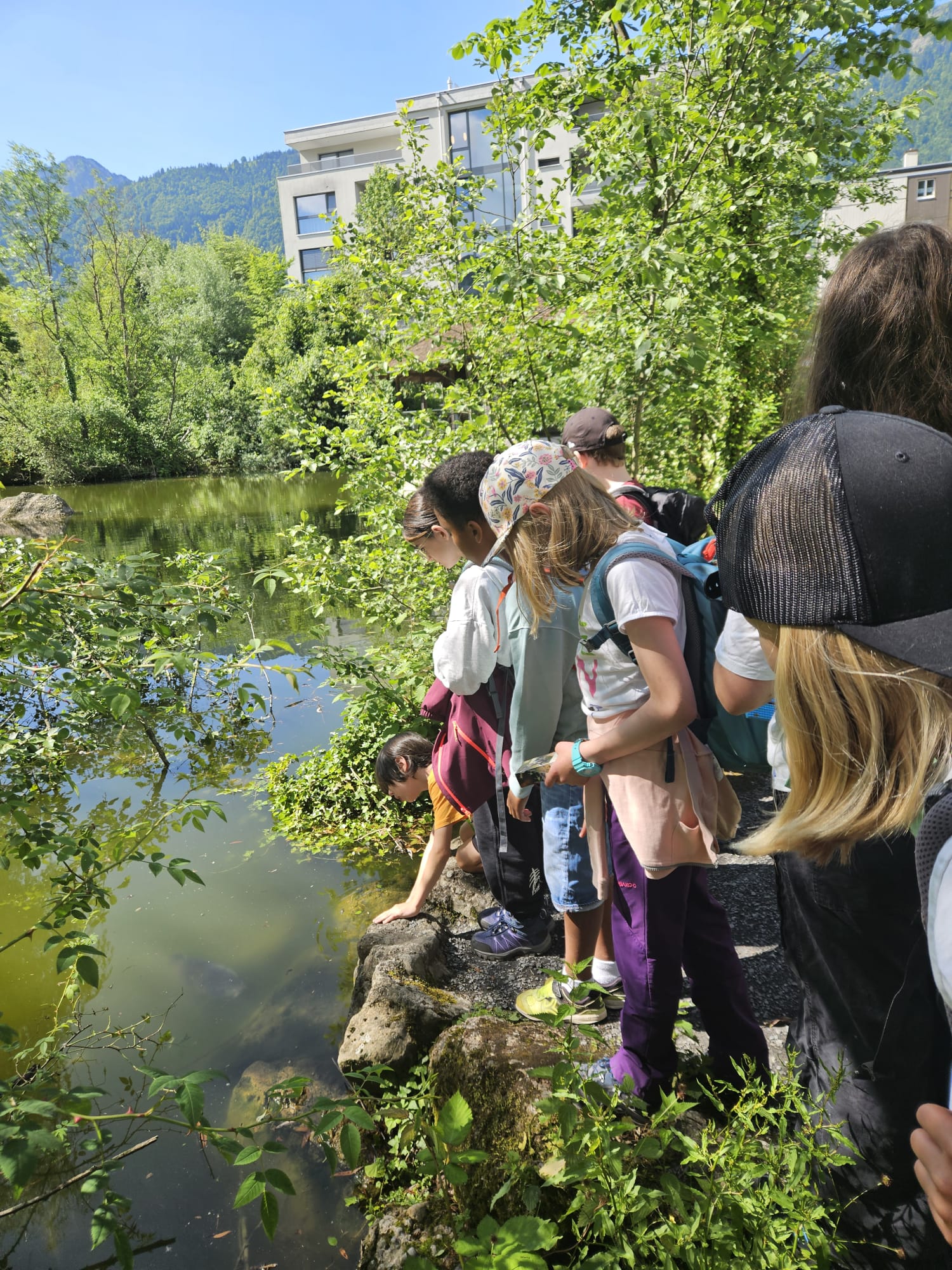 Schulreise in den Tierpark Goldau