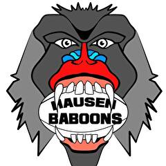 Hausen Baboons