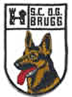 Hund