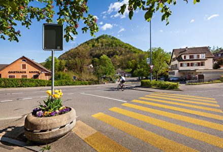 Projekt Sanierung Dorfstrasse Rekingen