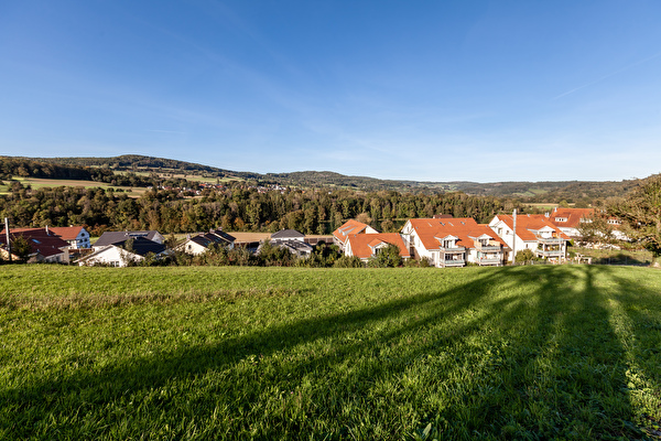 Aufnahme aus Rümikon