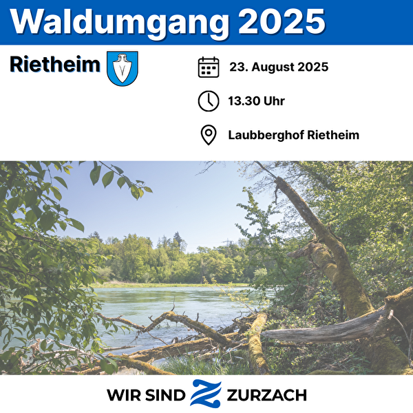 Bild Waldumgang