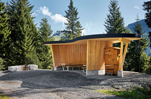 Feuerstelle Plegerloch