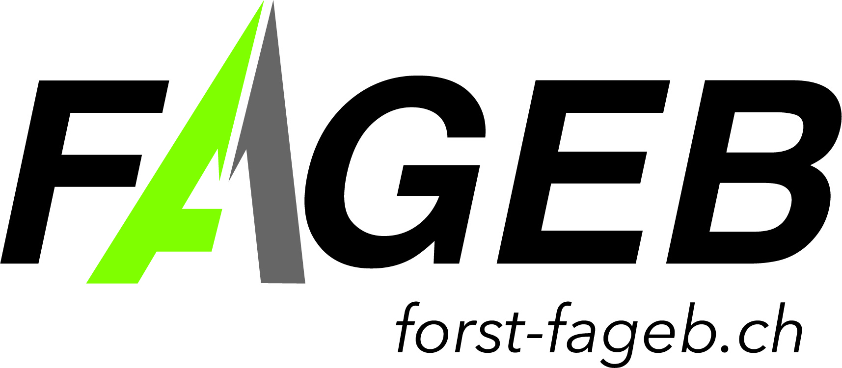 Logo FAGEB