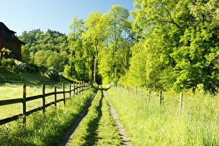 Gemeinderundgänge